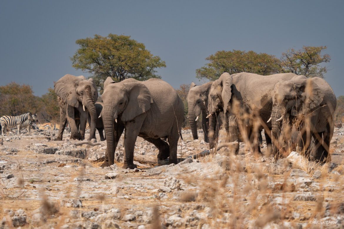 namibia-kiedy-jechac
