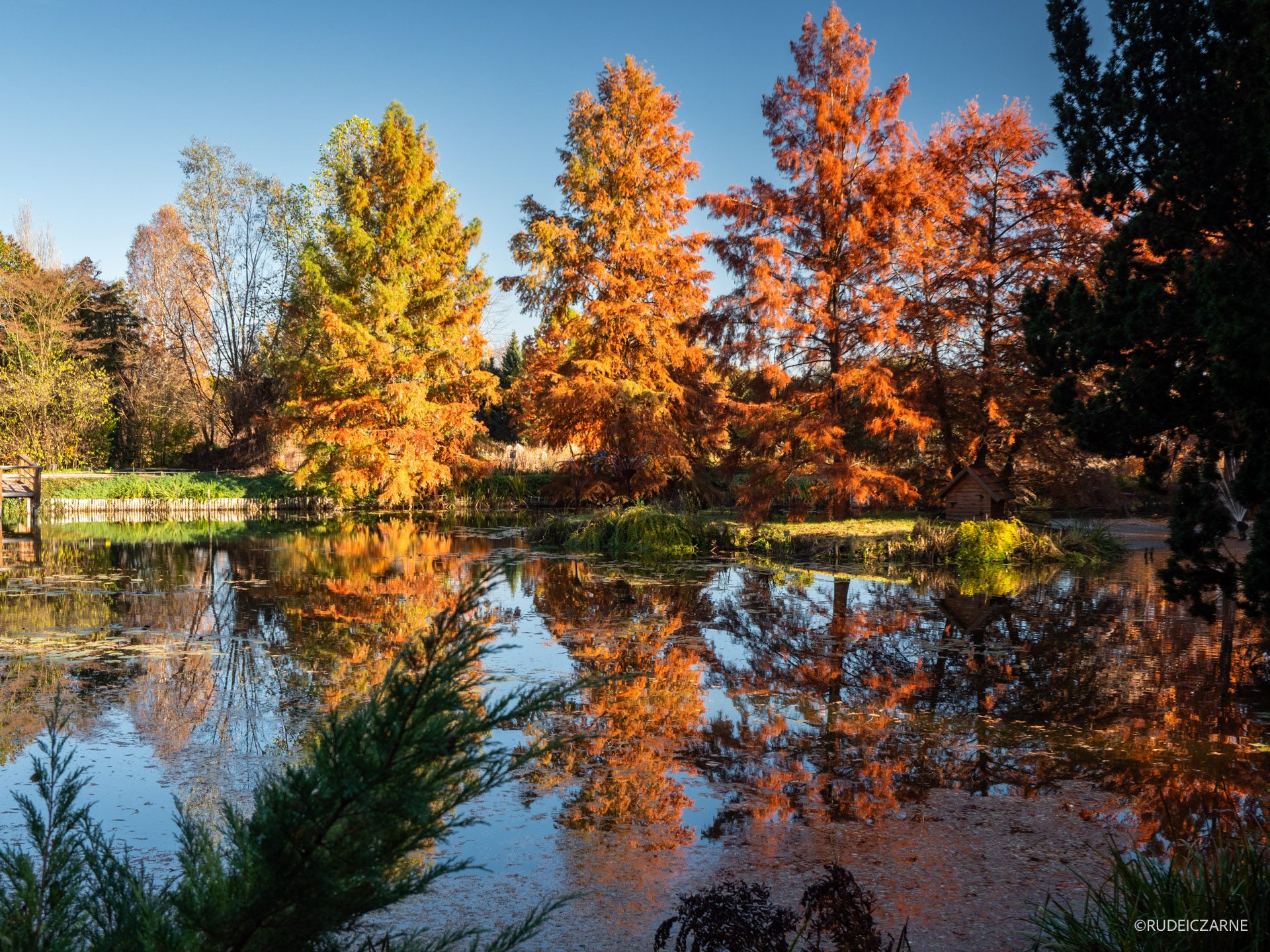 arboretum-bolestraszyce