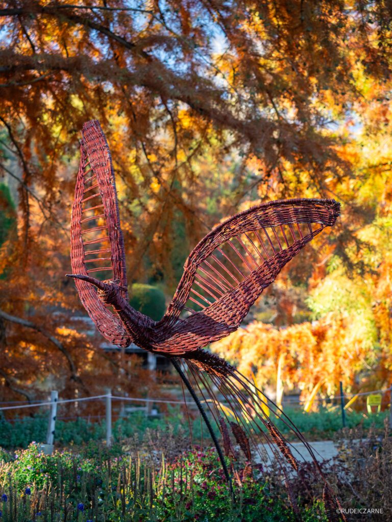 arboretum-bolestraszyce