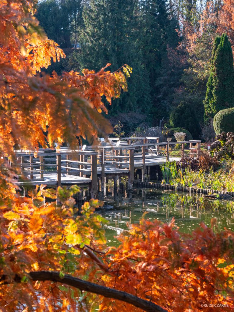 arboretum-bolestraszyce