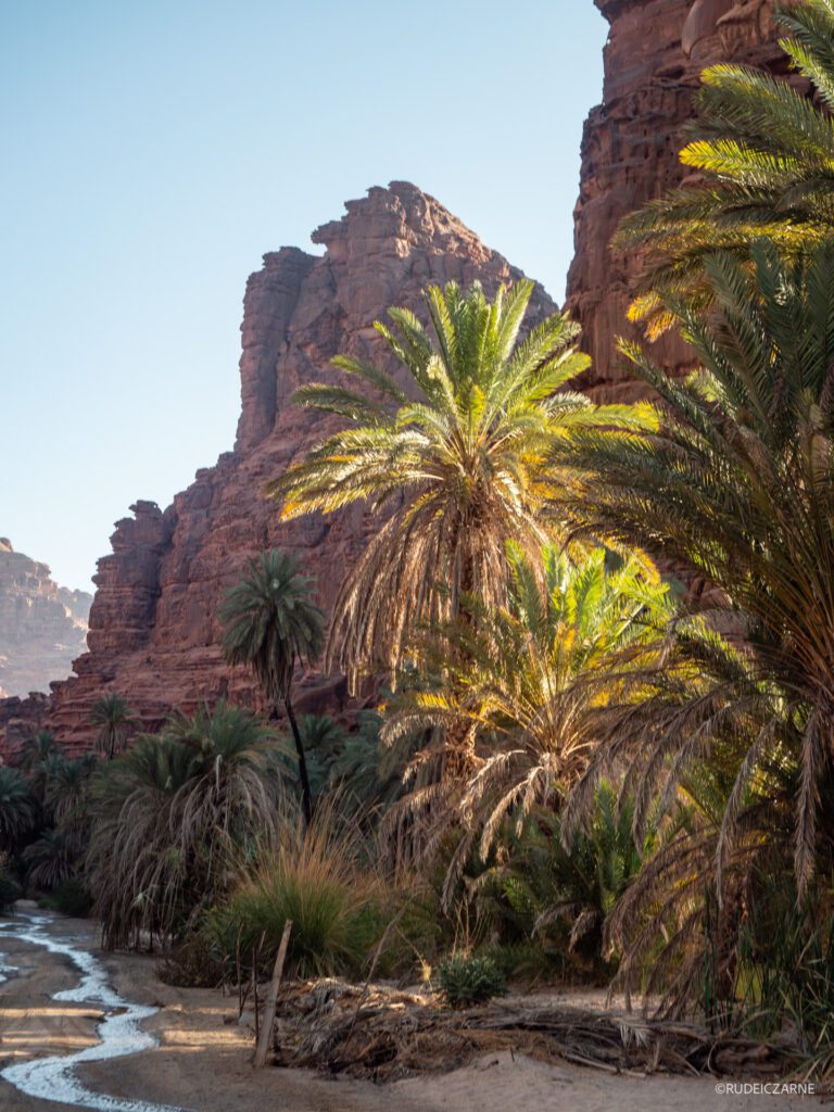 wycieczka-wadi-disah