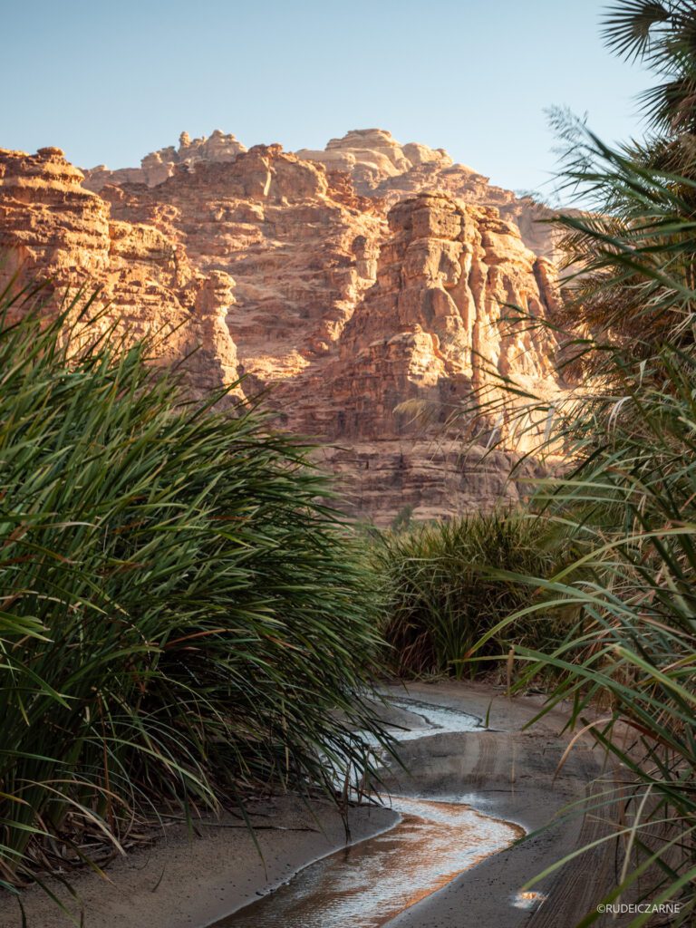 wycieczka-wadi-disah