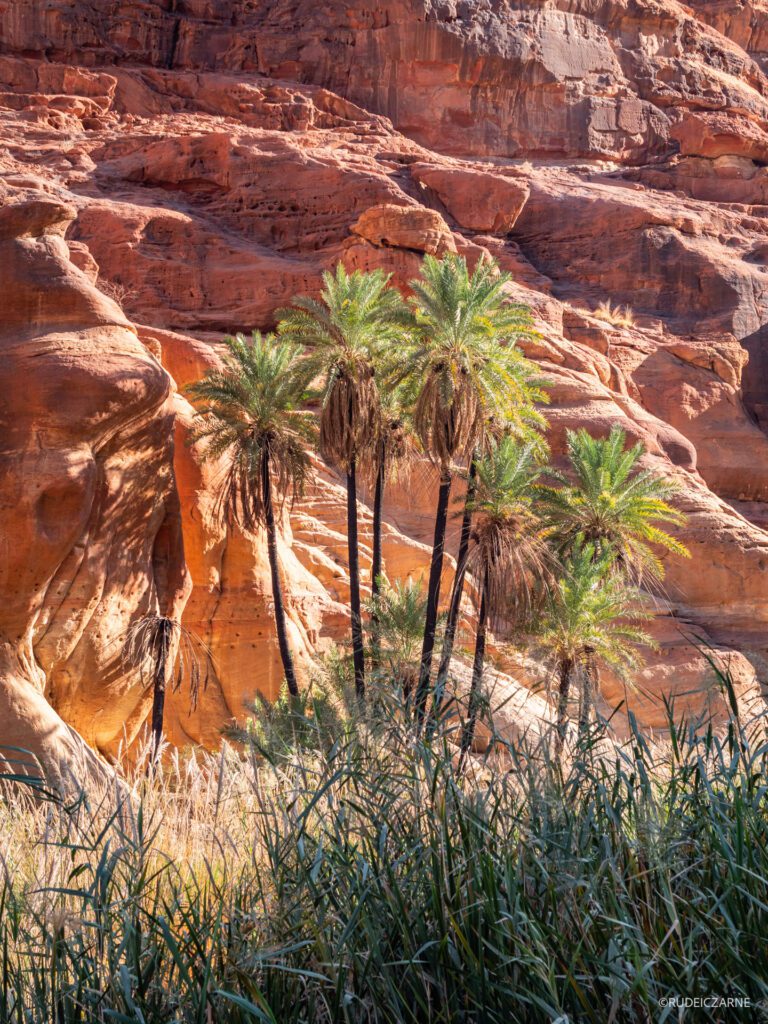 arabia-saudyjska-atrakcje