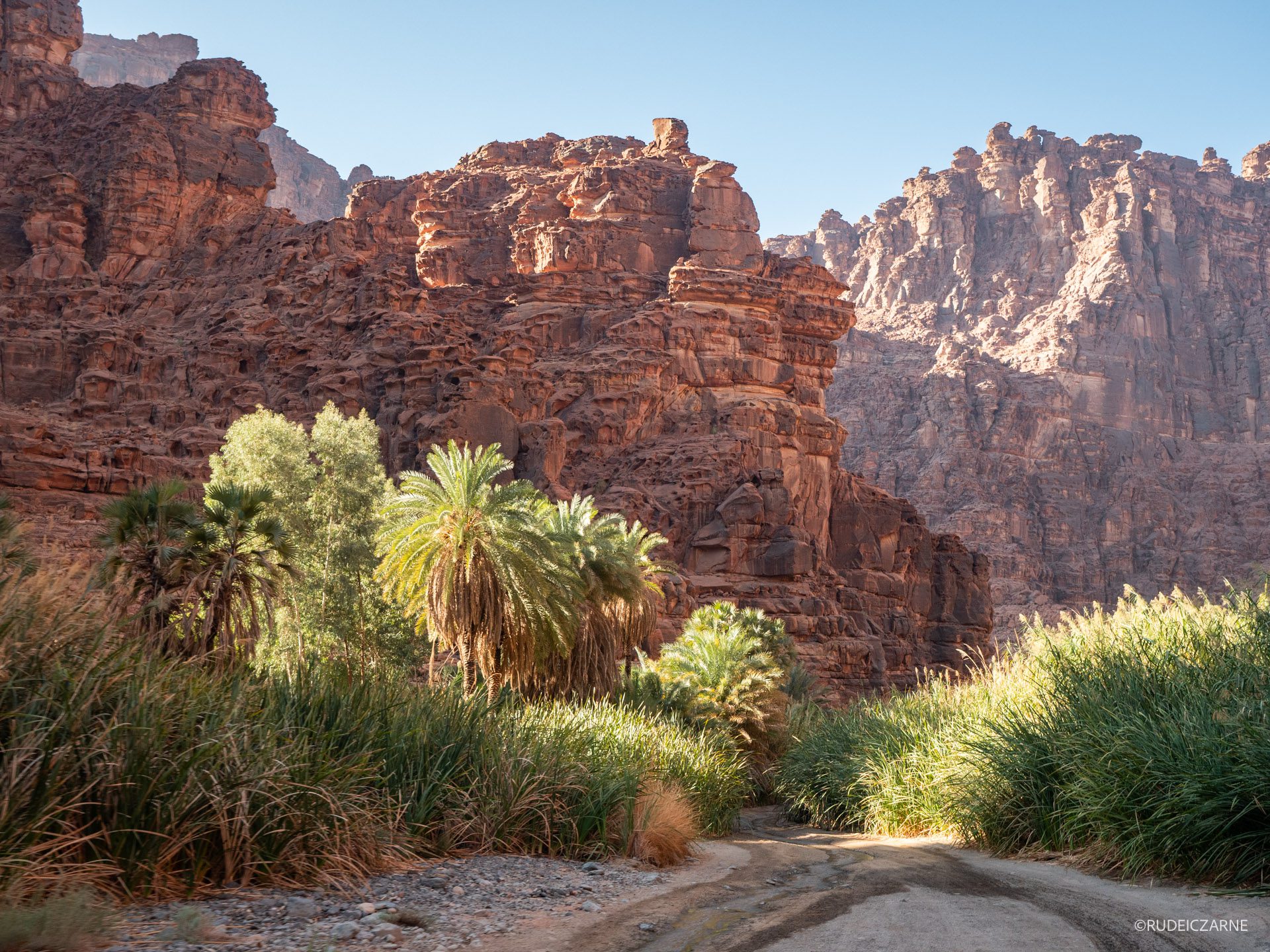 Co-zobaczyc-w-arabii-saudyjskiej