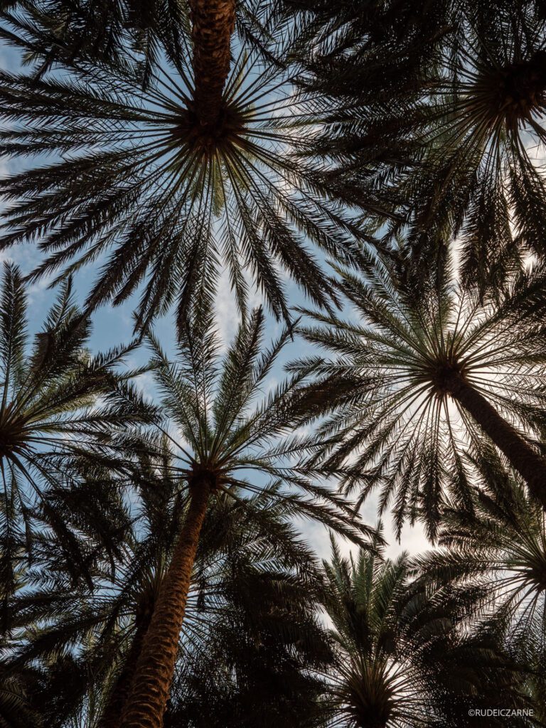 co-zobaczyc-w-arabii-saudyjskiej