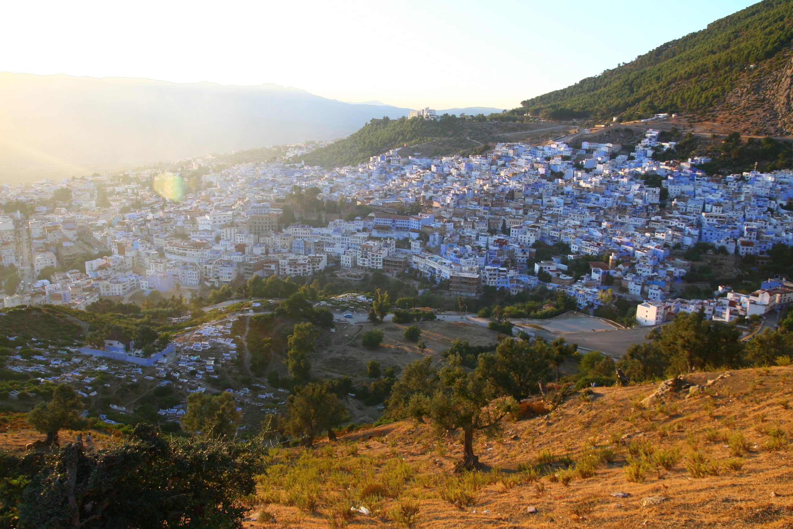 Niebieskie-Miasto