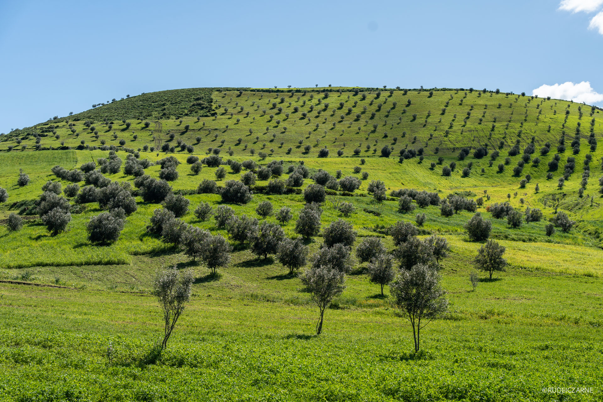Maroko-w-marcu