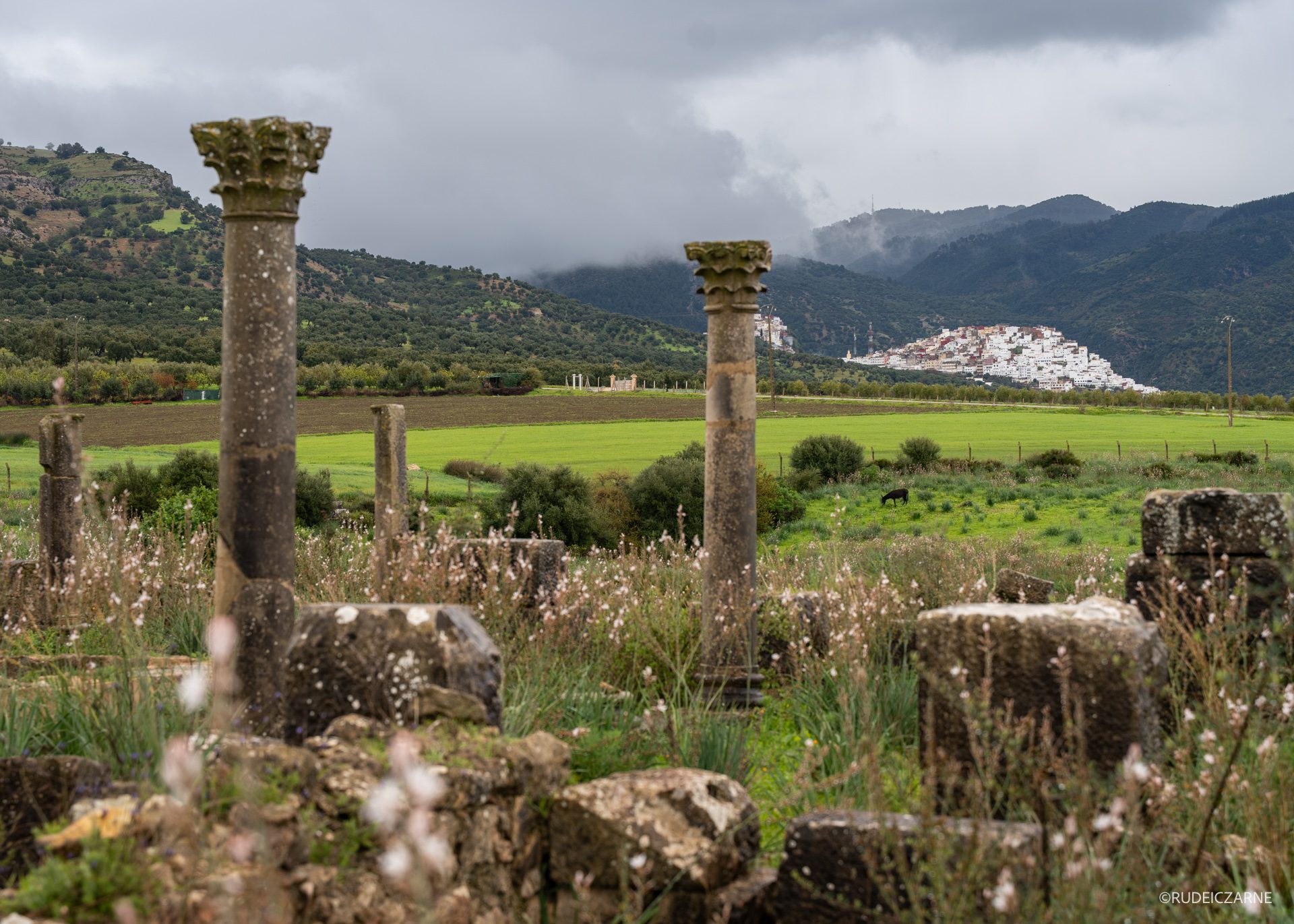 volubilis-maroko-zwiedzanie