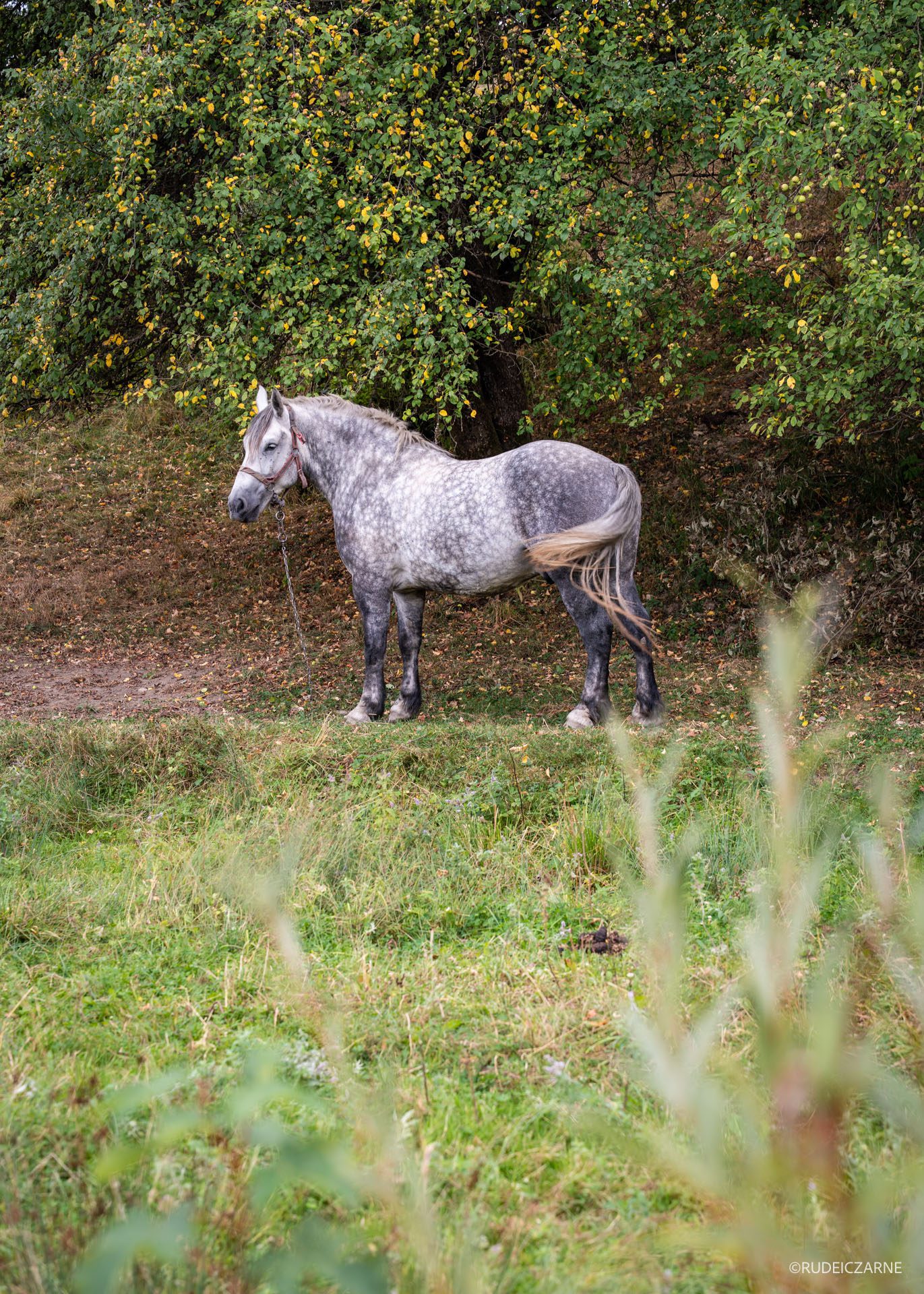 beskid-bez-granic