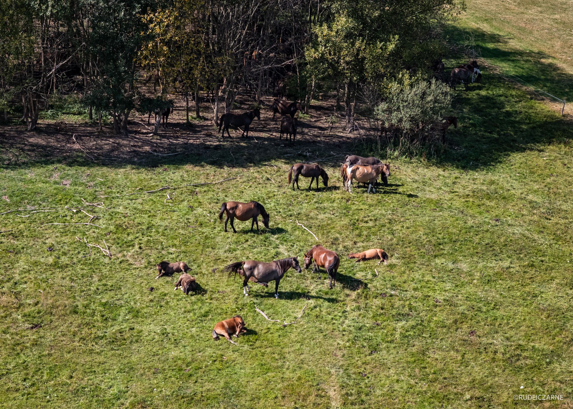 beskid-z-jankiem